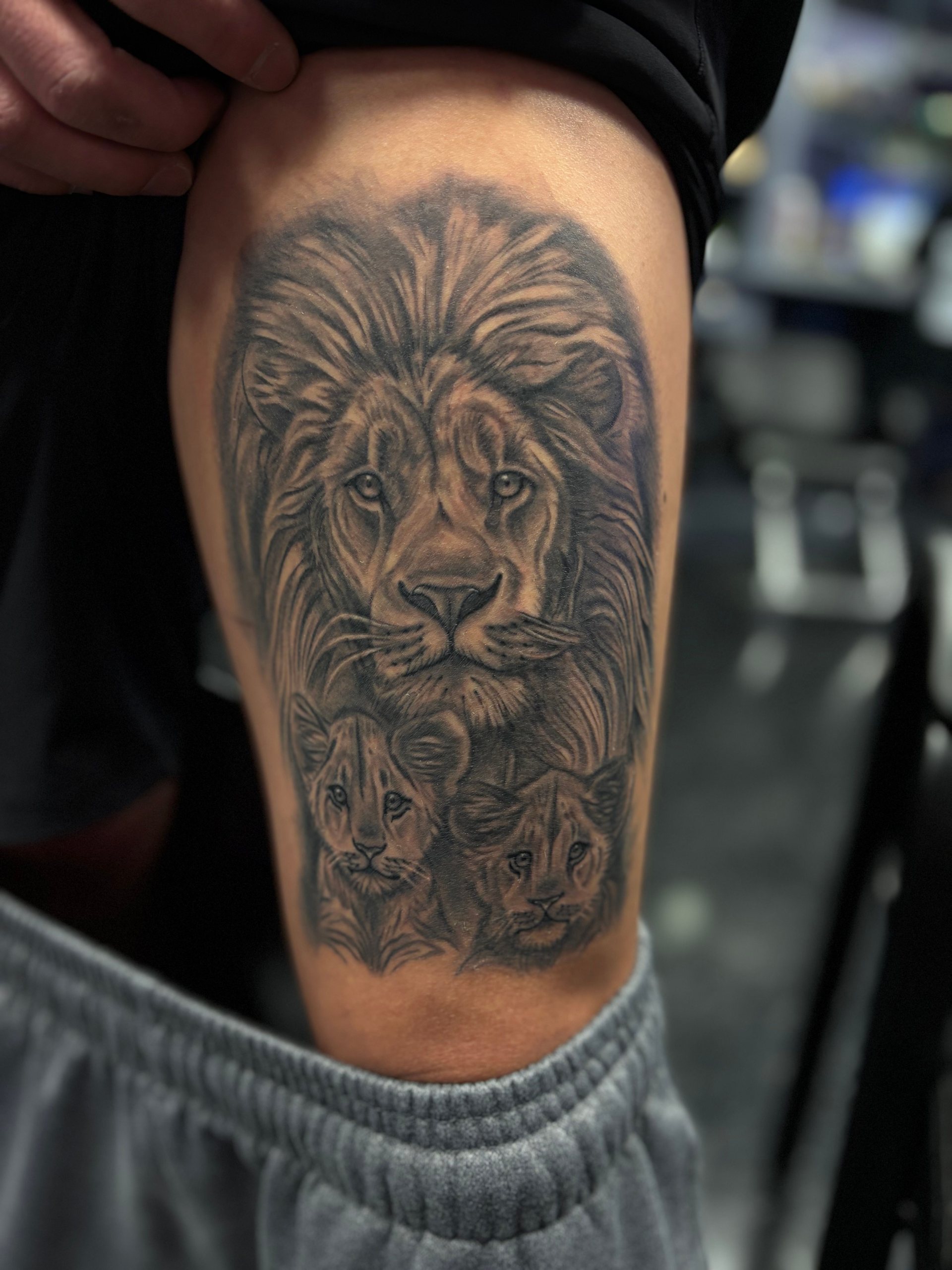 Black and gray